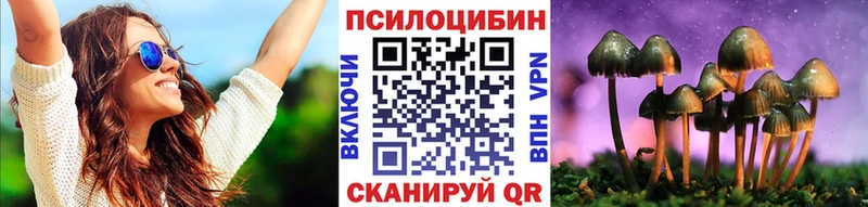 Псилоцибиновые грибы Psilocybe  Спасск 